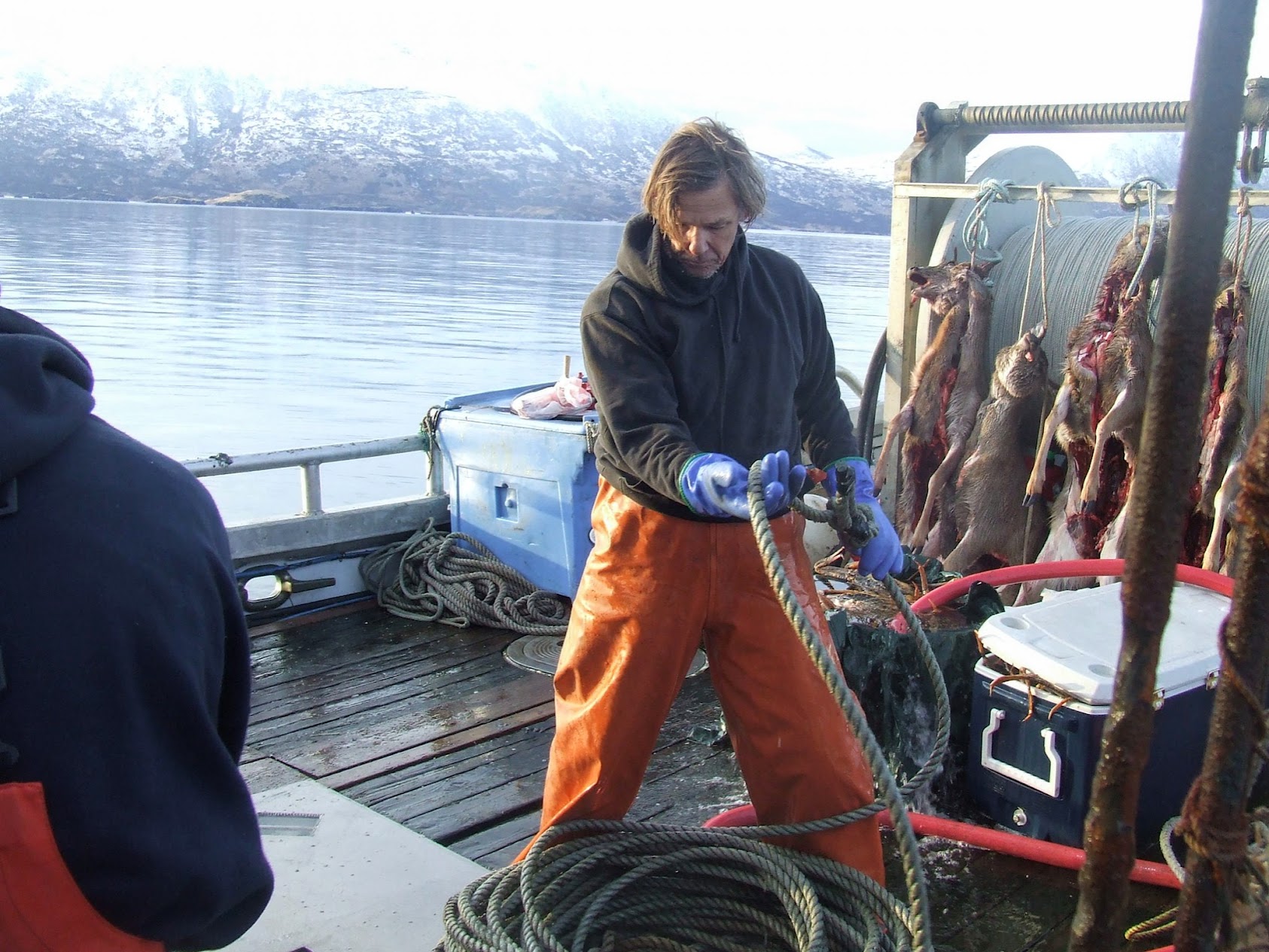 me coiling deer in background